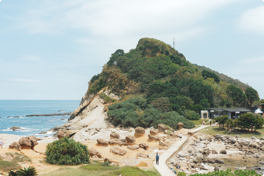 野柳岬特殊地型,岩石及灌木分佈,凸起的小山丘上長滿了茂密的樹林