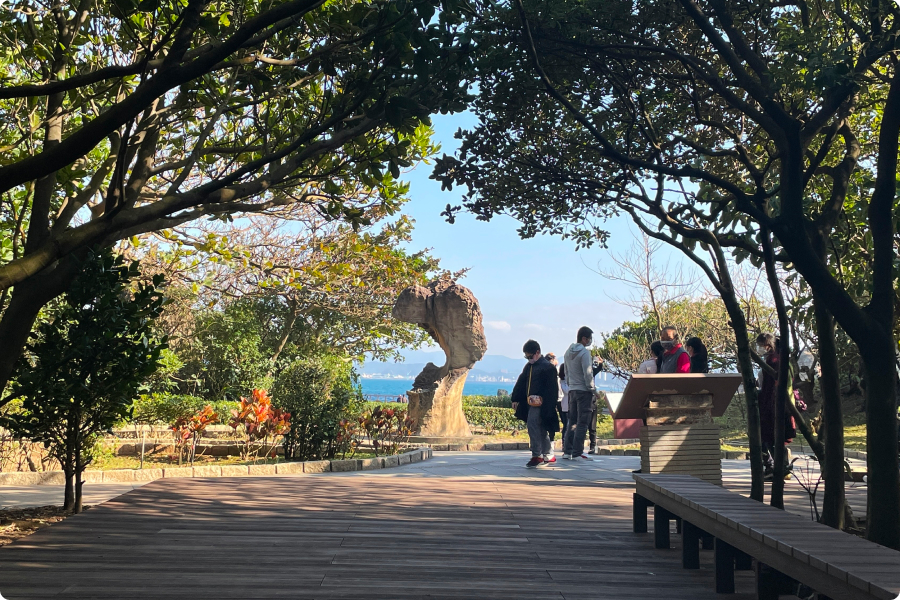 野柳地質公園一隅,陽光撒落在錯落的植物下,遊客悠閑的享受日光浴
